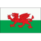 Wales FIFA 05
