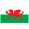 Wales FIFA 06