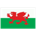 Pays de Galles FIFA 06
