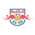 New York Red Bulls FIFA 08