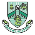 Bray Wanderers FIFA 08