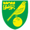 Norwich City FIFA 08