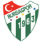 Bursaspor FIFA 08
