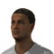 David N'Gog FIFA 09