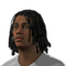 Georginio Wijnaldum FIFA 09