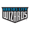 Kansas City Wizards FIFA 09