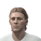 Steven Berghuis FIFA 11
