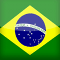 Brazilië FIFA 11