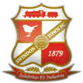 Swindon Town FIFA 11