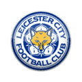 Leicester City FIFA 11