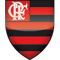Flamengo FIFA 11