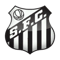 Santos FIFA 11