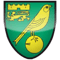 Norwich City FIFA 11
