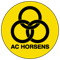 AC Horsens FIFA 13