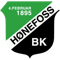 Hønefoss BK FIFA 13