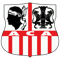 Athlétic Club Ajaccio FIFA 13