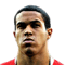 Troy Brown FIFA 13