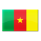 Kamerun FIFA 14