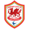 Cardiff City FIFA 14