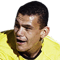 Wahid FIFA 14