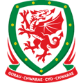Wales FIFA 15