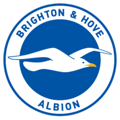 Brighton & Hove Albion FIFA 15
