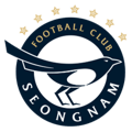 Seongnam Ilhwa Chunma FIFA 15