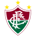Fluminense FIFA 15
