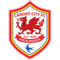 Cardiff City FIFA 15