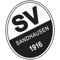 SV Sandhausen 1916 FIFA 17