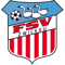 FSV Zwickau FIFA 18