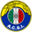 Audax Italiano FIFA 19