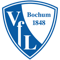 VfL Bochum FIFA 19