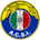 Audax Italiano FIFA 20