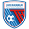 Tianjin Tianhai FC FIFA 20