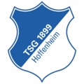 1899 Hoffenheim FIFA 21