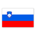 Slovenië FIFA 21