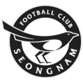 Seongnam FC FIFA 21
