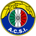Audax Italiano FIFA 21