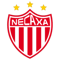 Club Necaxa FIFA 21