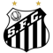 Santos Futebol Clube FIFA 21