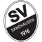SV Sandhausen 1916 FIFA 21