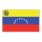 Venezuela FIFA 21