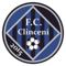 FC Academica Clinceni FIFA 21