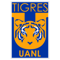 Tigres de la UANL FIFA 21