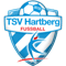 TSV Prolactal Hartberg FIFA 21