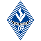 SV Waldhof Mannheim FIFA 24