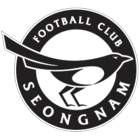 Seongnam Ilhwa Chunma FIFA 24